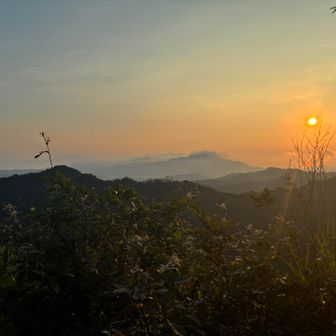 朝日山の山頂はガスってました。