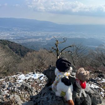 何から抑えようかな