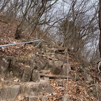 整備されて登りやすいが、まあまあな急登