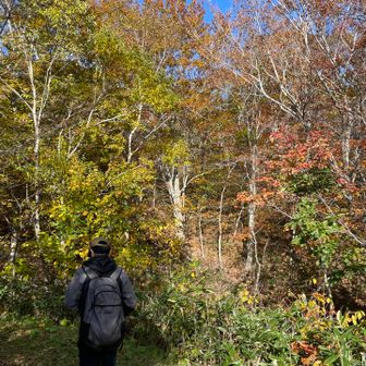 つばくろ🅿️から直ぐの登山道
浄土平は混んでいて、こちらで大正解でした😌