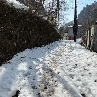 やっと一面❄️