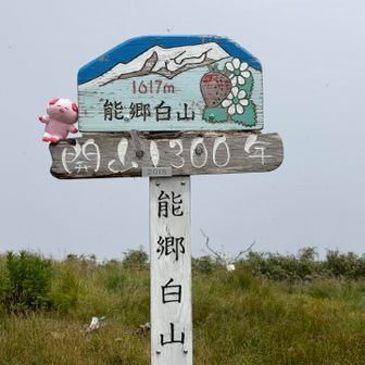 こっちが山頂！
ぶたさん２回風に煽られて落下😱