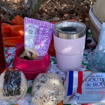 お昼ご飯
おにぎり二つ(梅干しとこぶ)
みそ汁(フリーズドライおいしい！)
コーヒー
お菓子(ホワイトチョコラスク)
