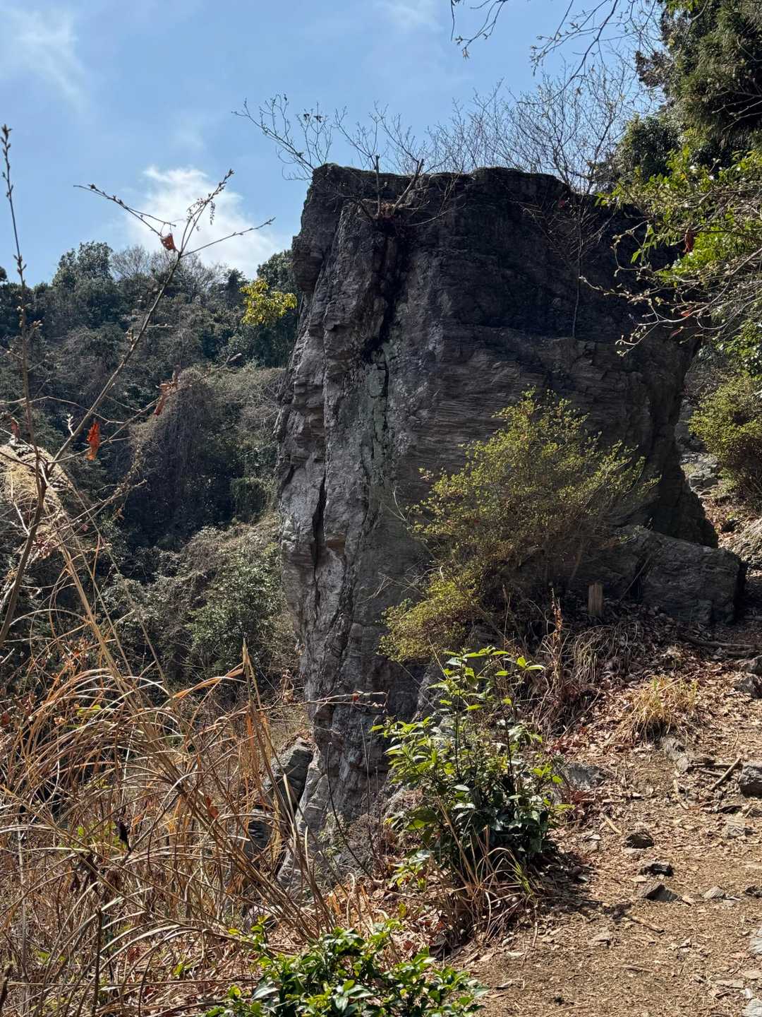 男鹿岩🪨