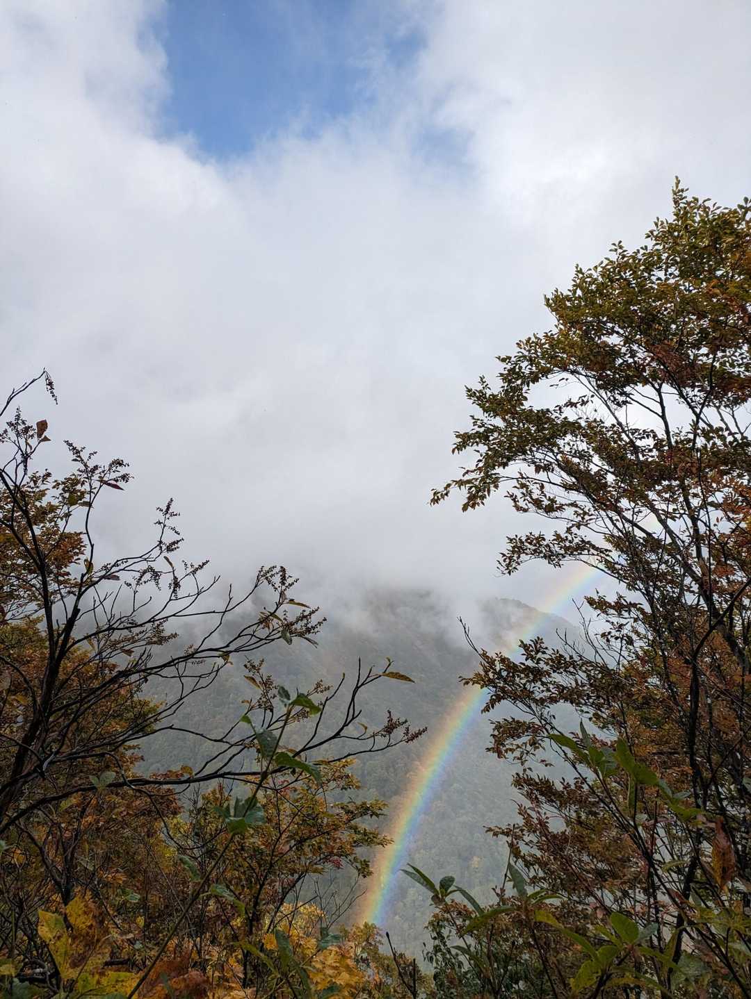 登山入口-熊穴沢ノ頭 往復コースの写真
