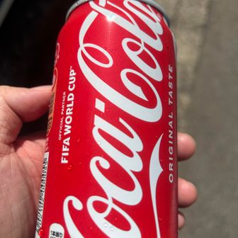 下山の楽しみ、癒しの赤プシュっ！