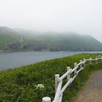 標高0mから木がないので外国の景色みたい
スコットランドとか？行ったことないけど
