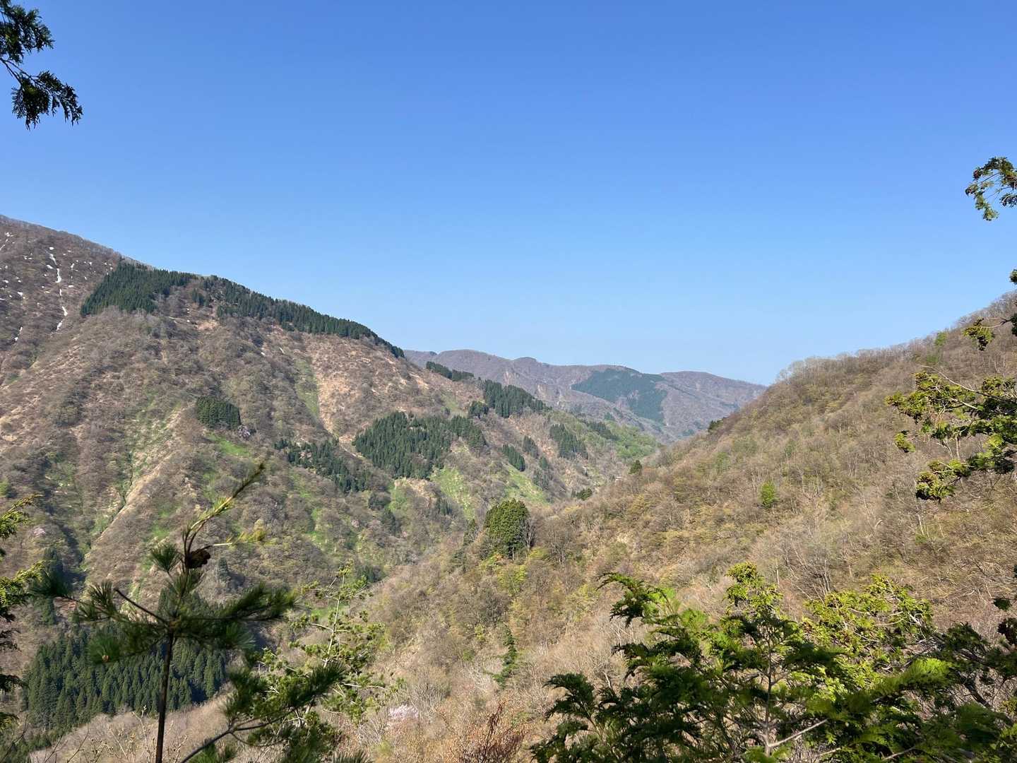 今日も良い天気！
青空が綺麗ですね☀️