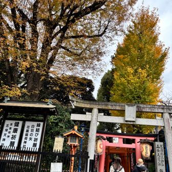 向かいの花園稲荷神社⛩️
五條天神社⛩️にもおまいりしてみた