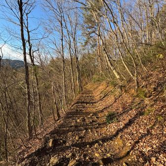ペースが早くてまた一人になりましたが、帰りはもう怖くありません🙏