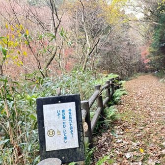 👏叩きました
🤔確かに👂