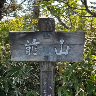 山頂より少し手前に標識あります。