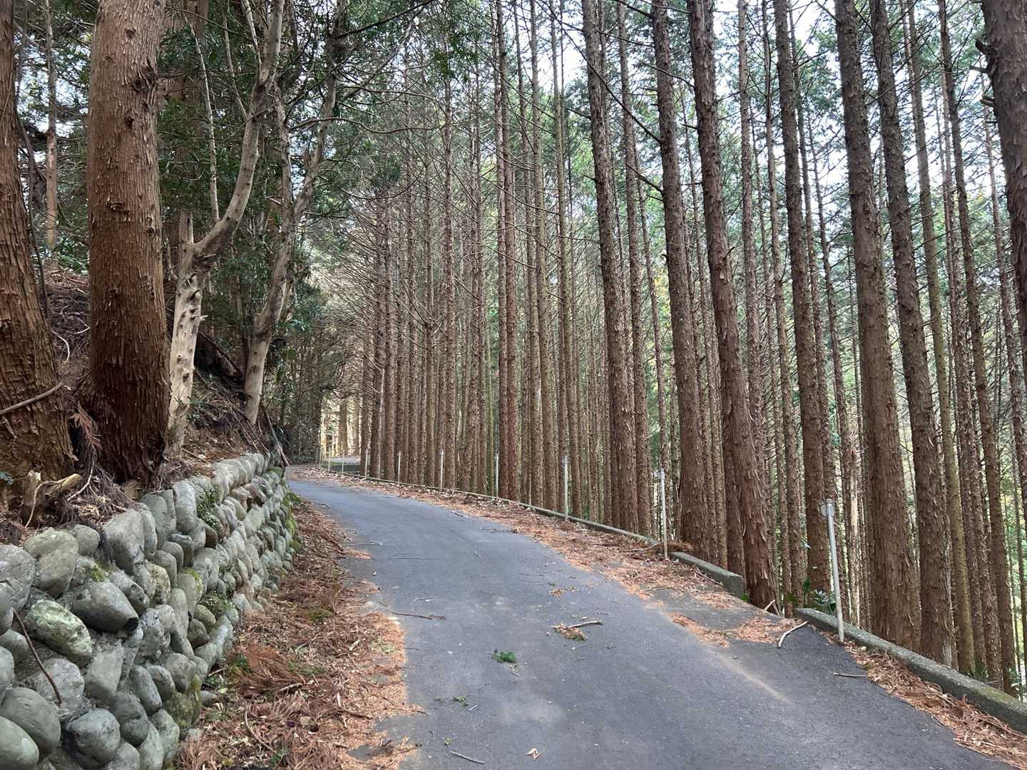 鼻がムズムズするのは気のせいかな？🤧