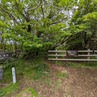 大涌谷方面のコースはまだ閉鎖中。解除される日が待ち遠しい