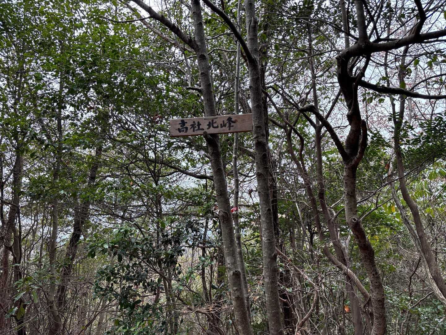 高社北峰　ちゃんとしたピークだよ
登録お願いします🤲