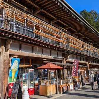 むむ…もしや…