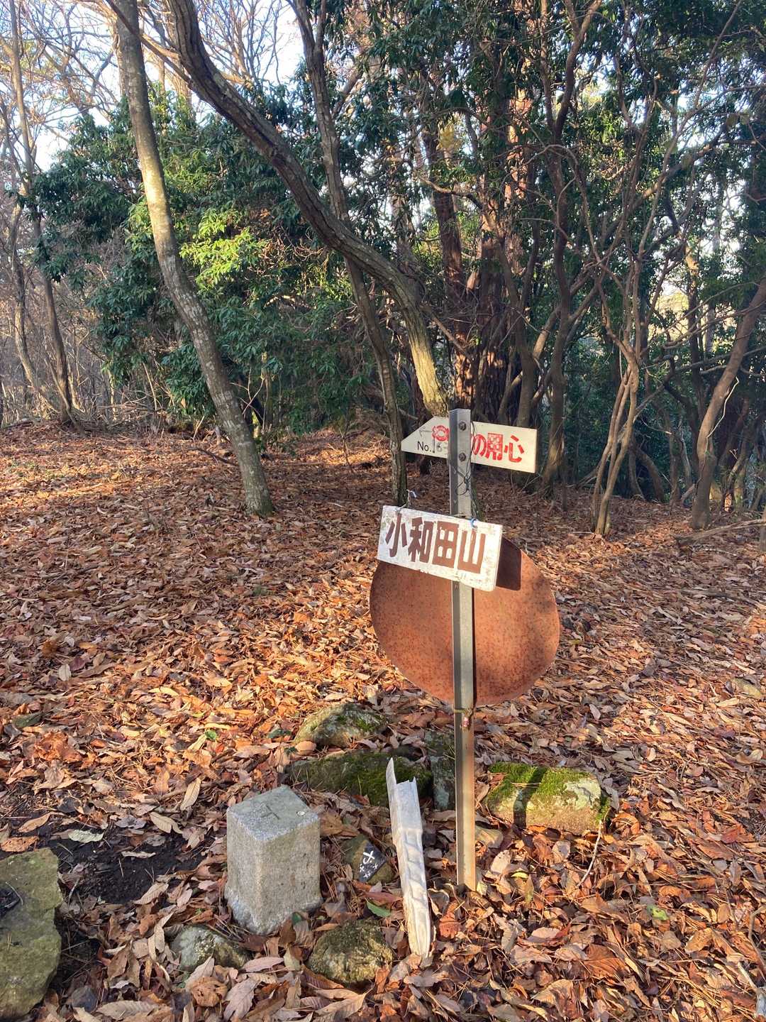 小和田山山頂(611m)