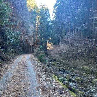 分岐の度に何回じゃんけんしたかなぁ🤣
私は1敗でした✌️申し訳ないくらい一人勝ち