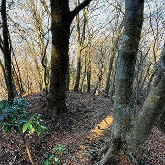 一応ロープ場🪢