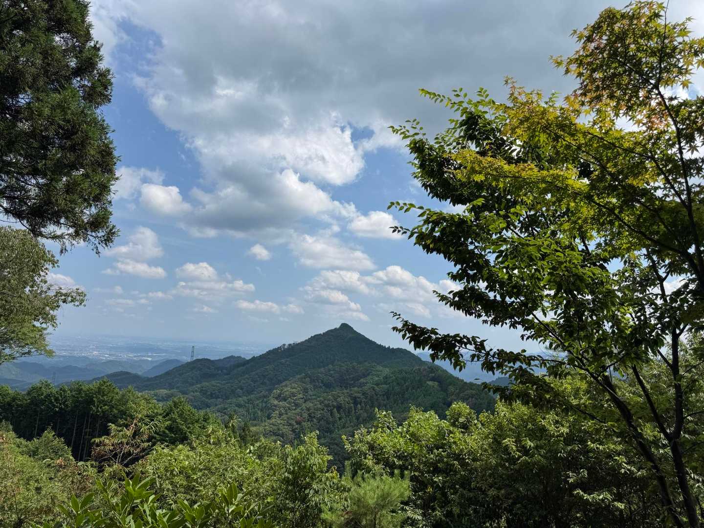 御岳山〜つるつる温泉｜ペットも歓迎の山上のパワースポットの写真