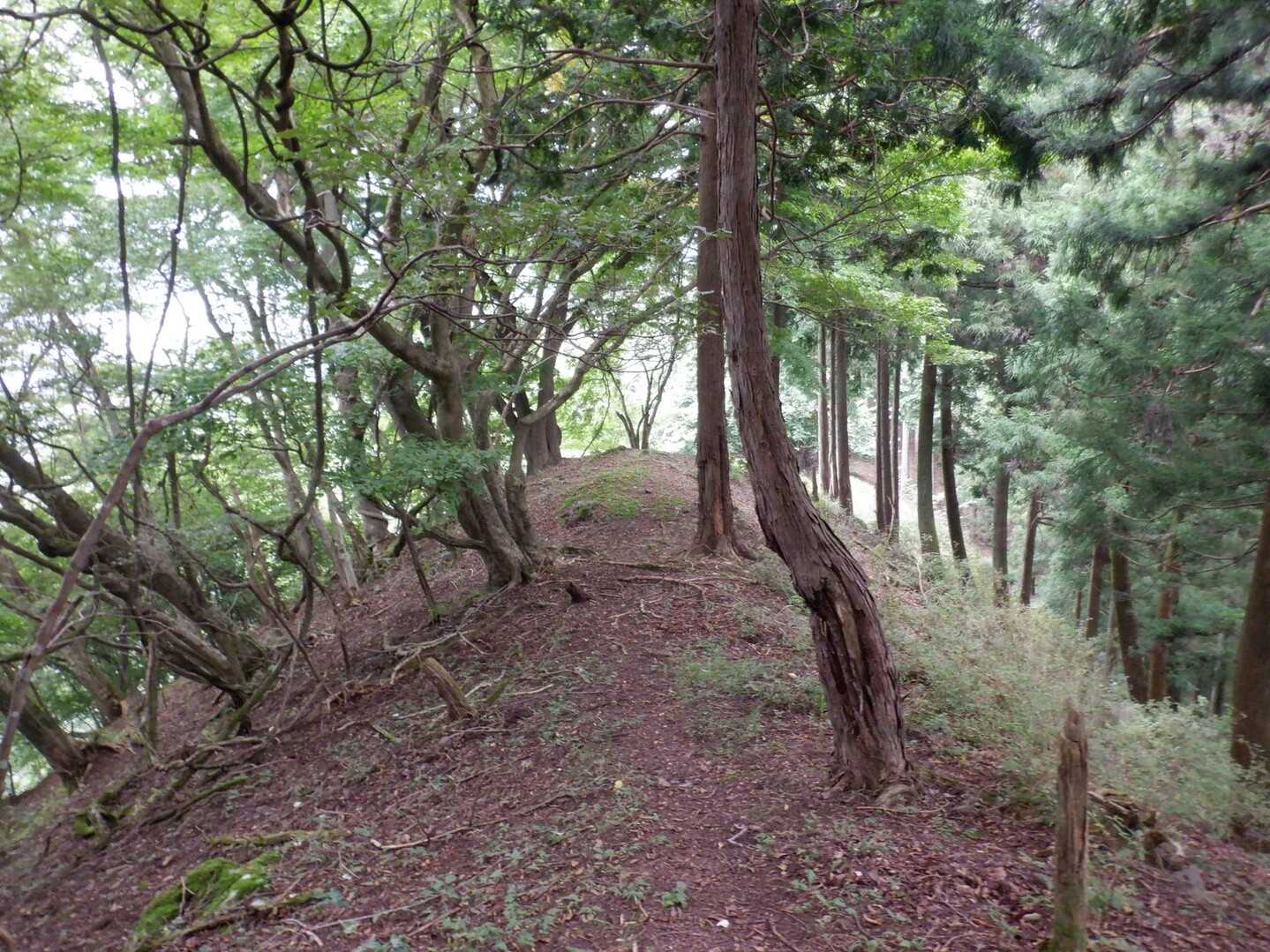 岩菅山の写真