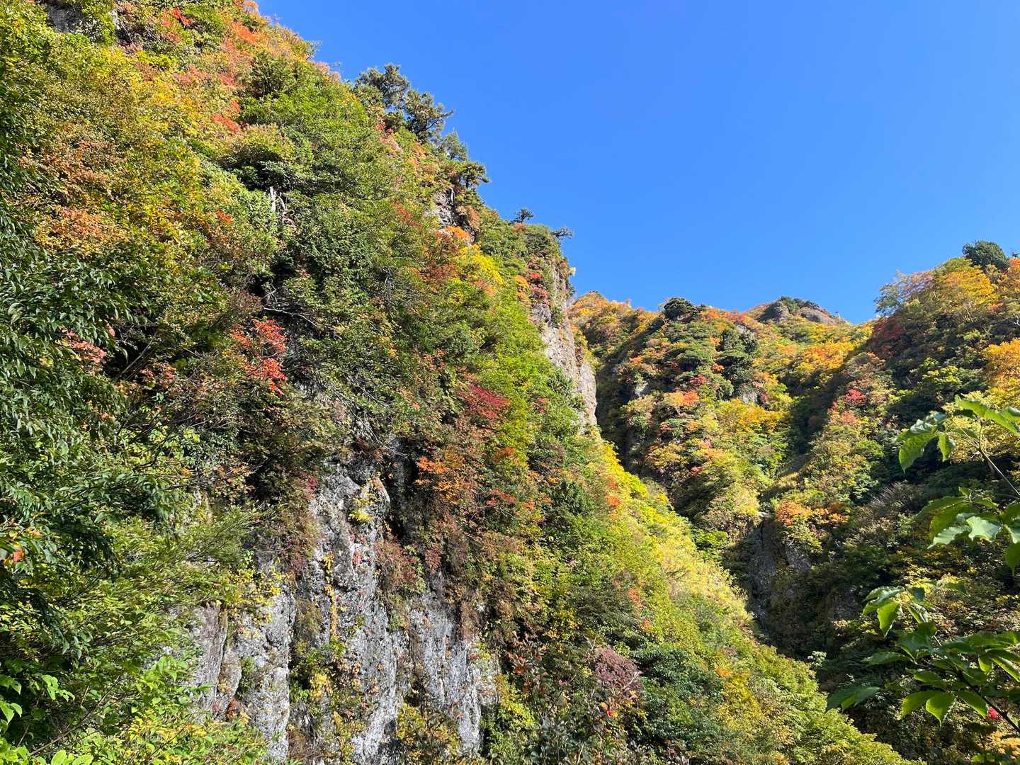 【周】八海山（2合目登山口）＜屏風道・八ッ峰・入道岳・新開道＞の写真