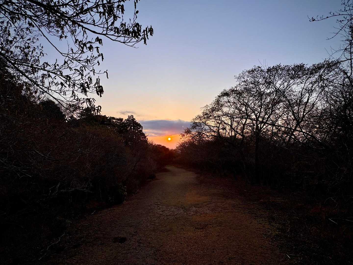 朝日を背に🌅