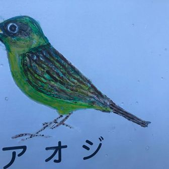 あおじ