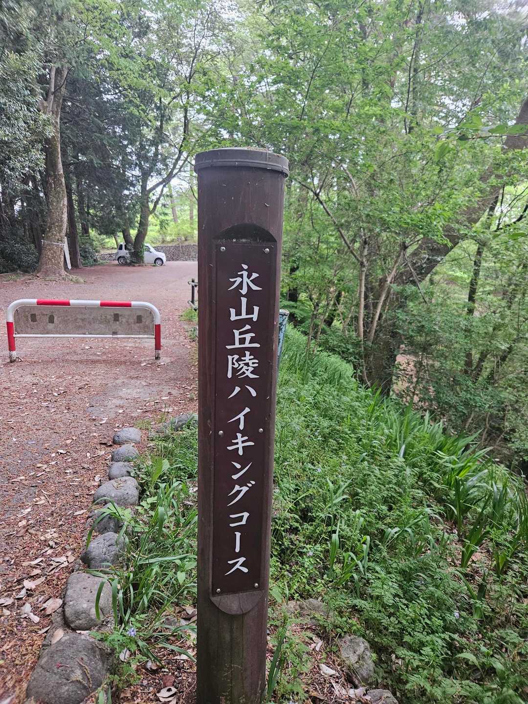 戻って来ました❗