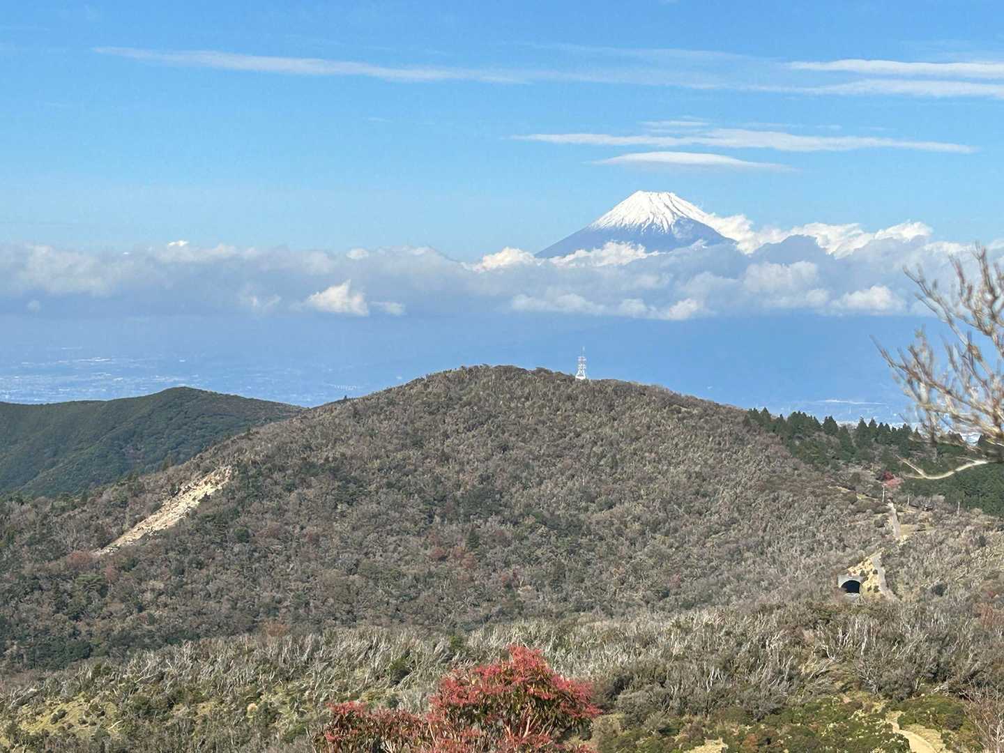 だるま山高原レストハウスバス停-金冠山-戸田峠-小達磨山 往復コースの写真