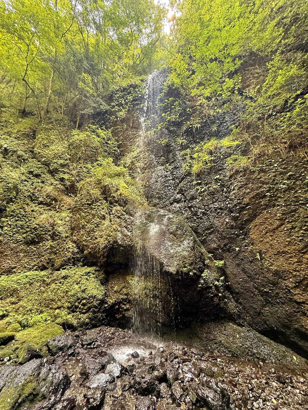 篭岩 周回コースの写真