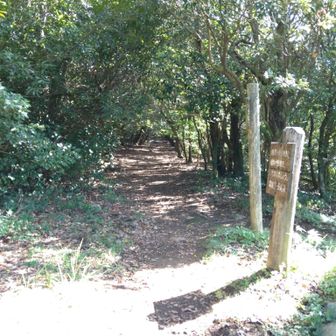 防火広場から山頂側を見る。尾根道。