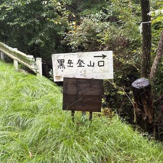 雨止んで欲しい… と念じつつ下山も、全く止む気配なし。登山口まで下りてきて、ようやく止んだ模様。