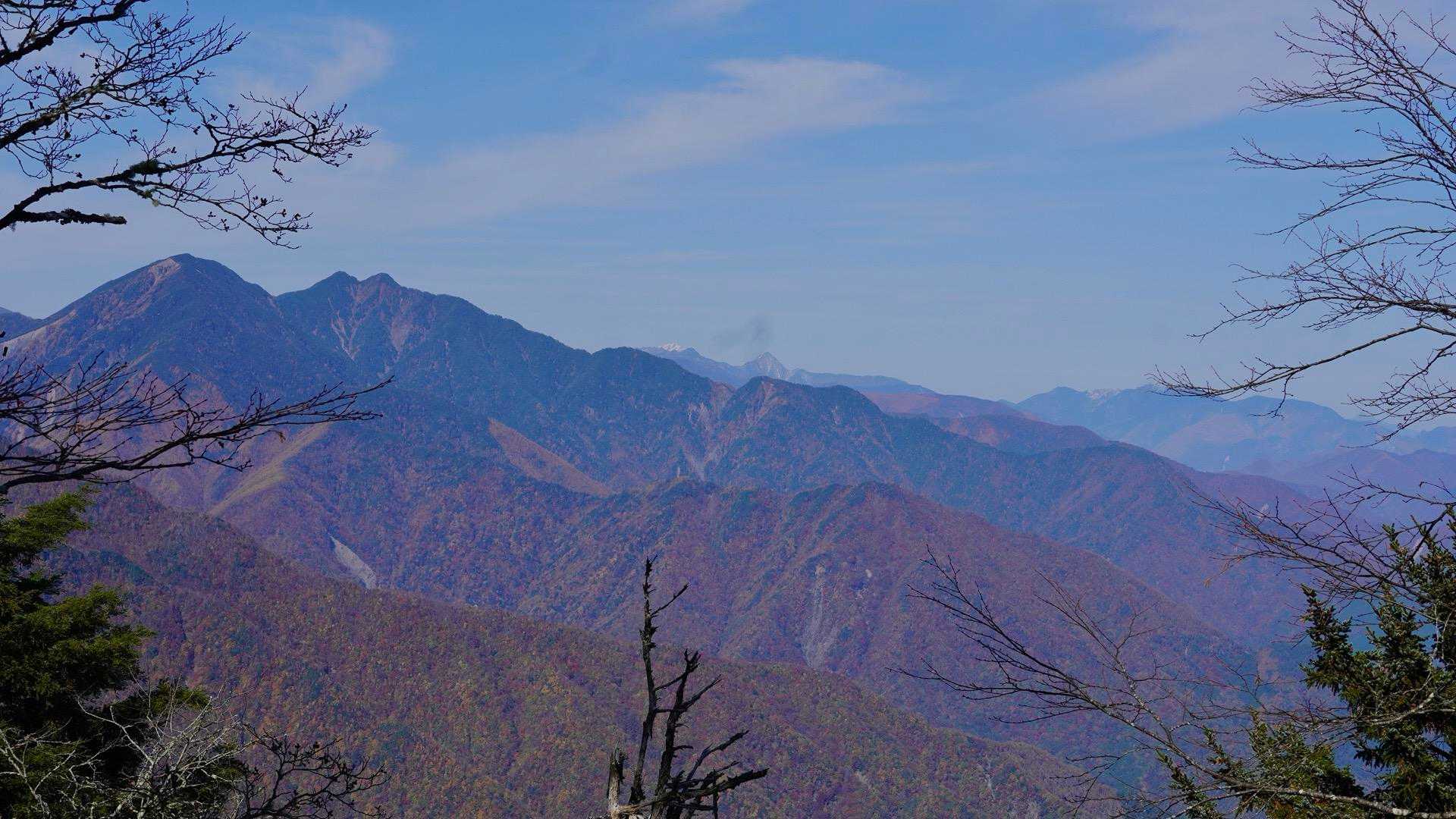 百畳峠-山伏-大平沢ノ頭-新窪乗越-大谷嶺 往復コースの写真