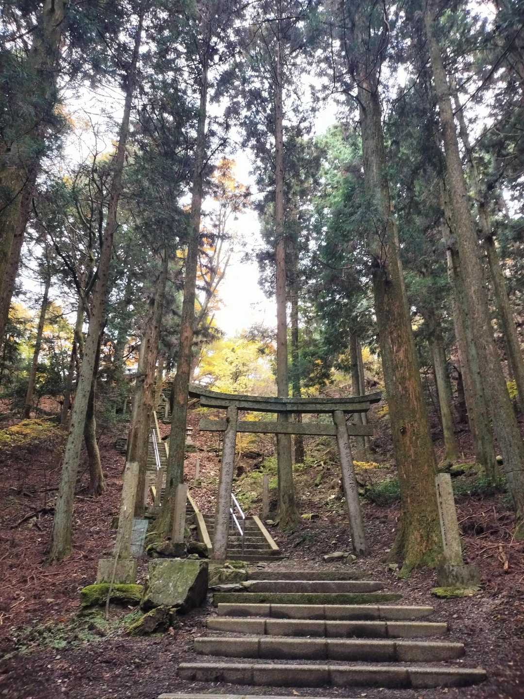 急階段を登ると