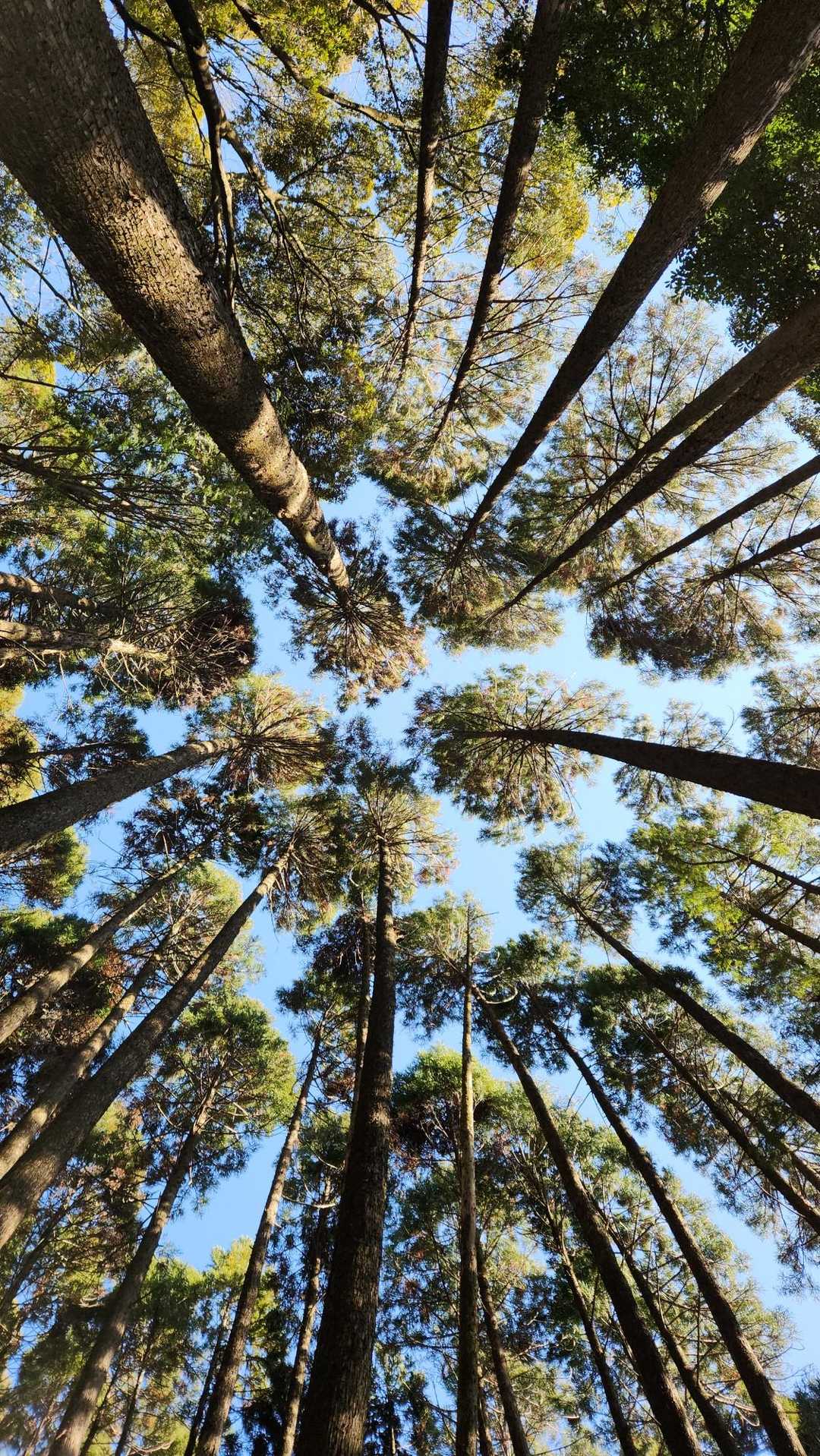 お決まりのアングル。
次の写真は、ある方が喜ぶと思って☺撮りました。スミマセン🙇‍♀️