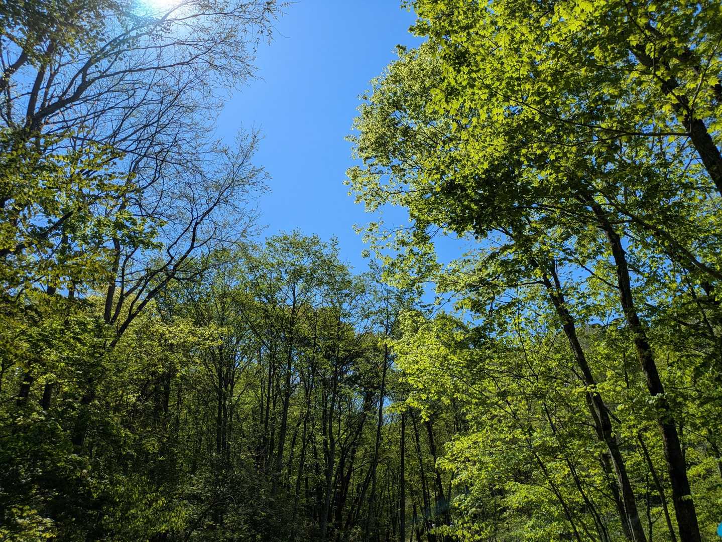 青空☺