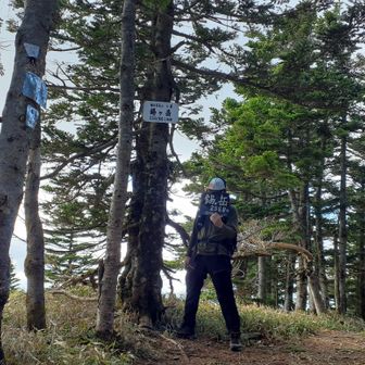 🐑黒羊とろろ🐑