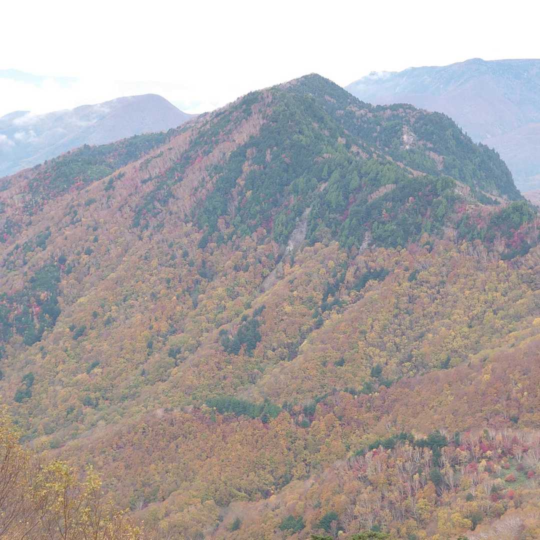 紅葉燃ゆる🍁