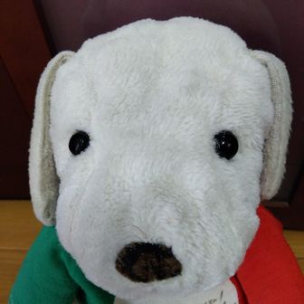 しいお　ごんぞう