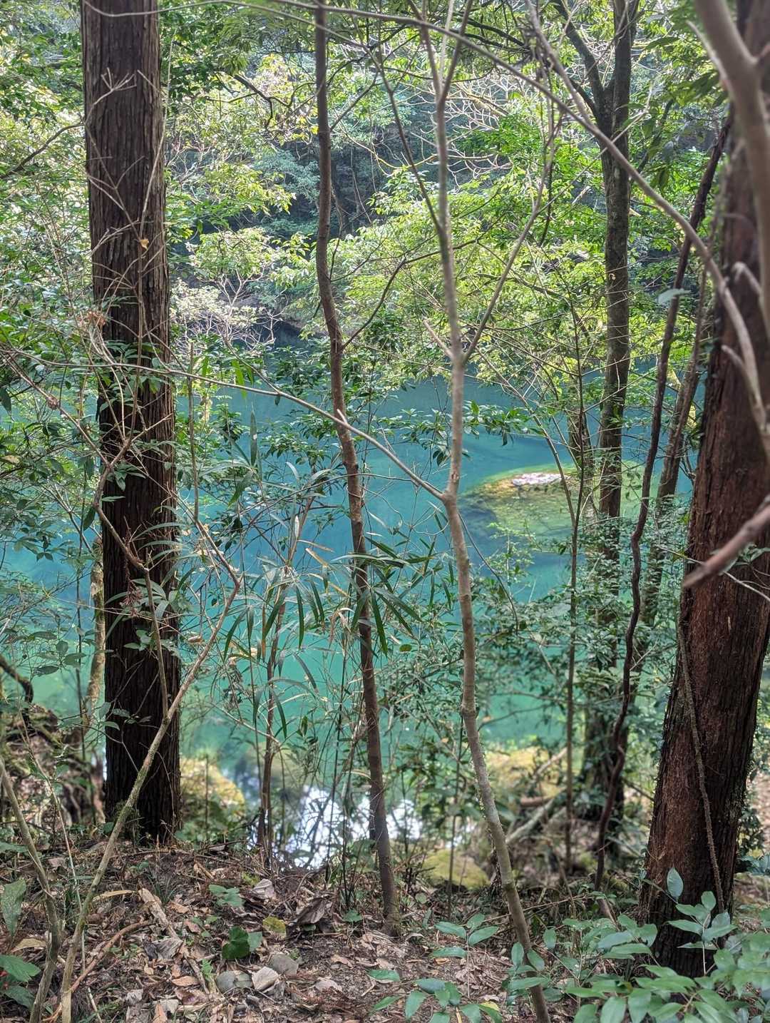 ものすごい綺麗です。