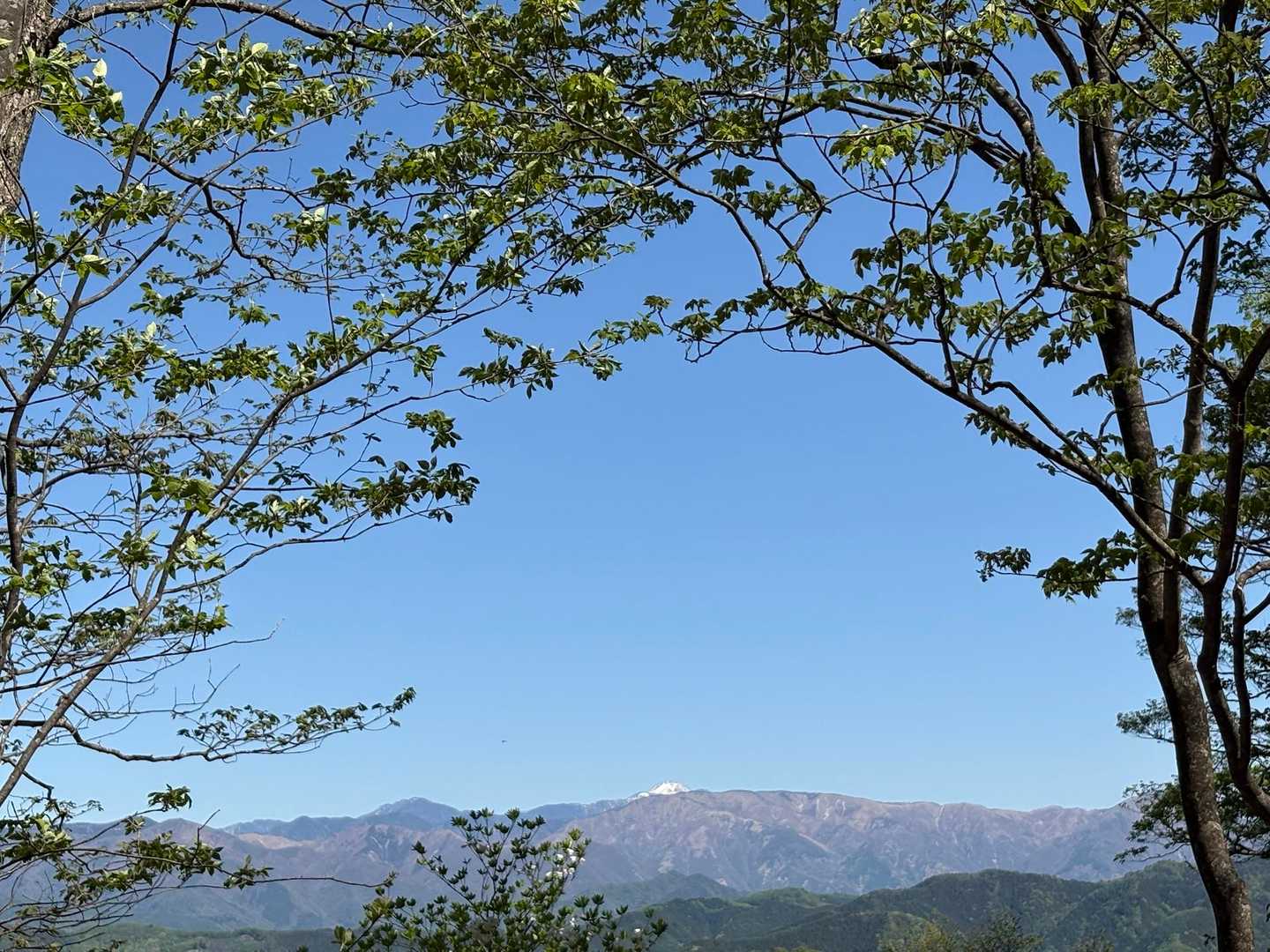 山に雪が・・
日光白根山？