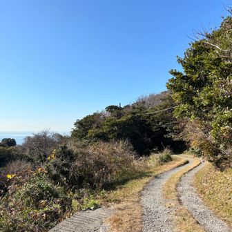 峰山に登る林道