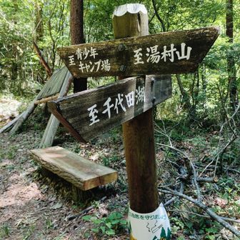 八王子山(白山)の山頂は再度は行かず
トラバースルートへ