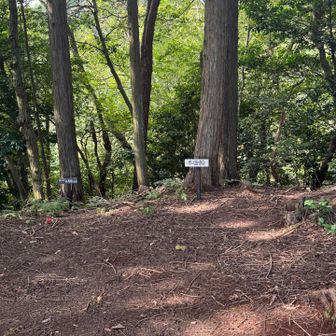 色んな看板ありました