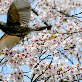 おお✨
撮れたぁ～