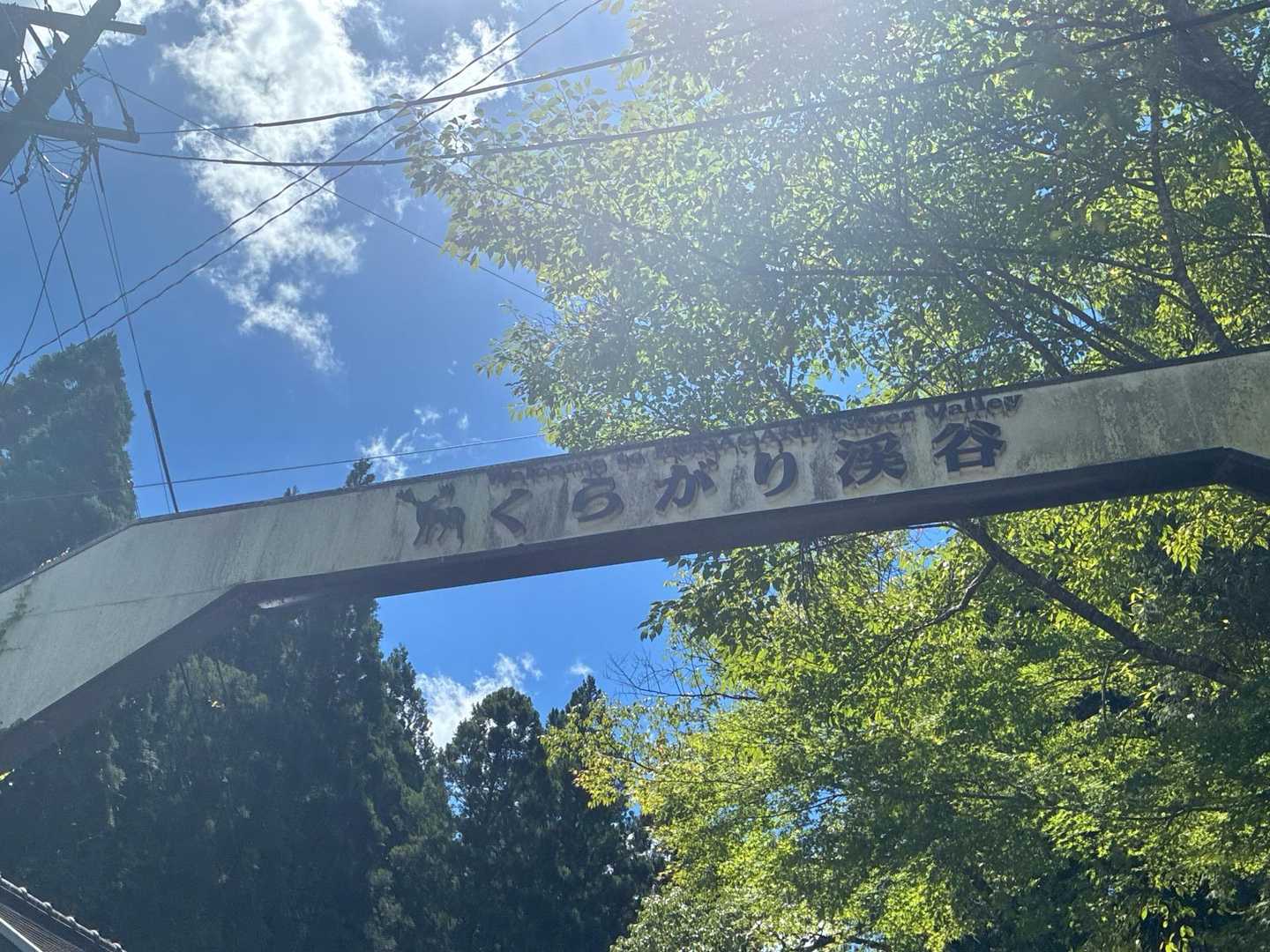 久しぶりやん