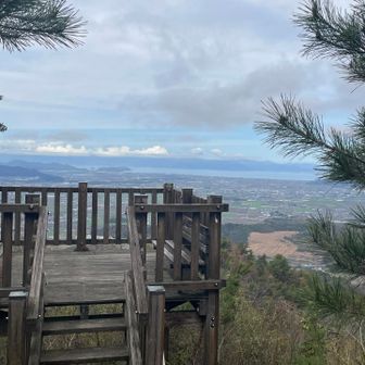 展望台からの眺望ナイスです✨
