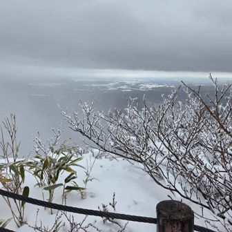 奥は小川原湖辺りかな