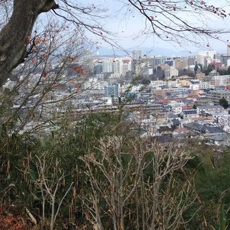 本殿展望台から泉区方面。遠くに泉ヶ岳。そして手前には仙台大観音🗽